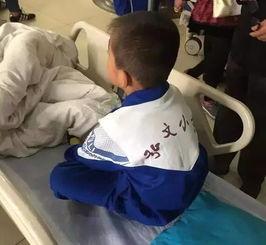 石家庄食堂爆料最新消息,食品安全问题引发关注  第3张